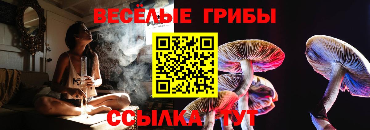 Галлюциногенные грибы GOLDEN TEACHER  Вход с VPN  Удомля 